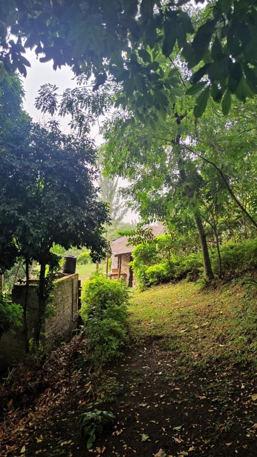 Lake Lyantonde Eco Campsite Original Fort Portal ภายนอก รูปภาพ